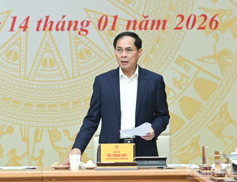 Вице-премьер Буй Тхань Шон выступает на конференции.