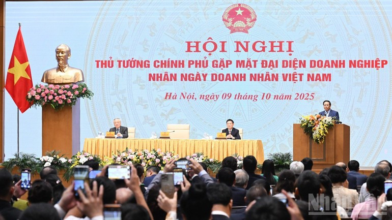 Общий вид конференции. Фото: Чан Хай