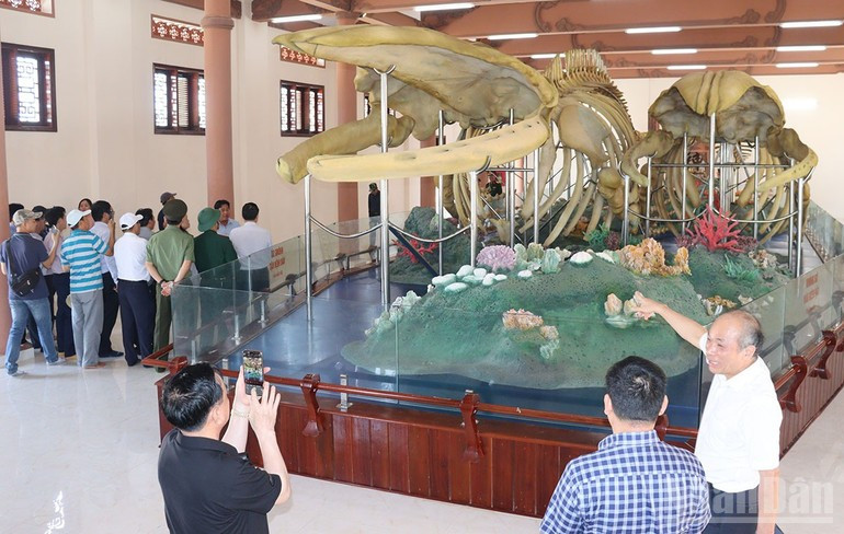 Туристы могут увидеть два крупнейших во Вьетнаме скелета рыбы-Онг (кита), восстановленных и выставленных в Лангтан, особый район Лишон.
