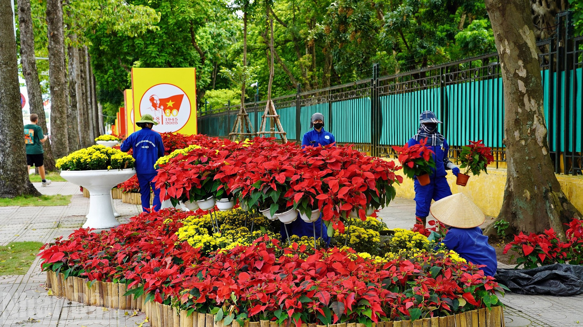 image-87.jpg
