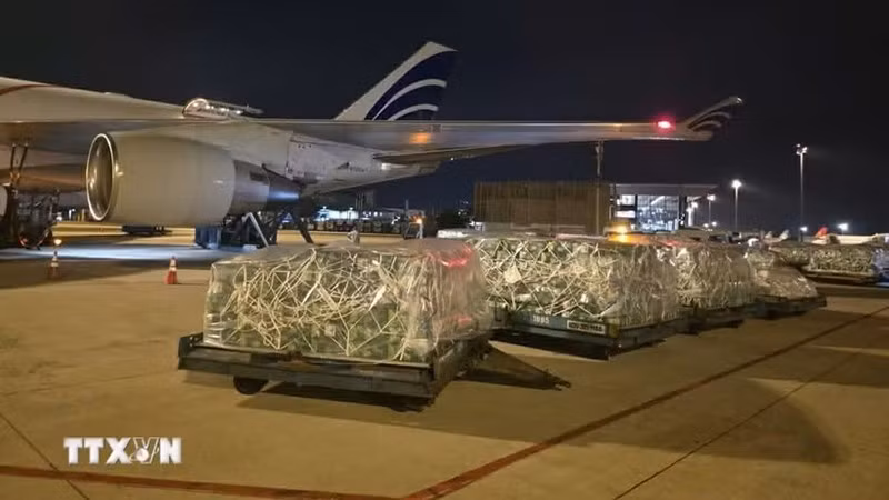 Партии товаров разгружаются в аэропорту. Фото: ВИА