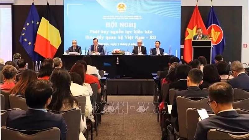 Конференция «Раскрытие потенциала вьетнамской диаспоры в Европе в интересах углубления отношений между Вьетнамом и ЕС». Фото: ВИА