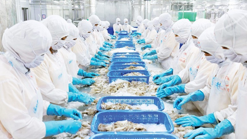 Переработка экспортной рыбной продукции на заводе АО по переработке и экспорту-импорту морепродуктов Киенкыонг, провинция Анзянг. Фото: Фу Кыонг 