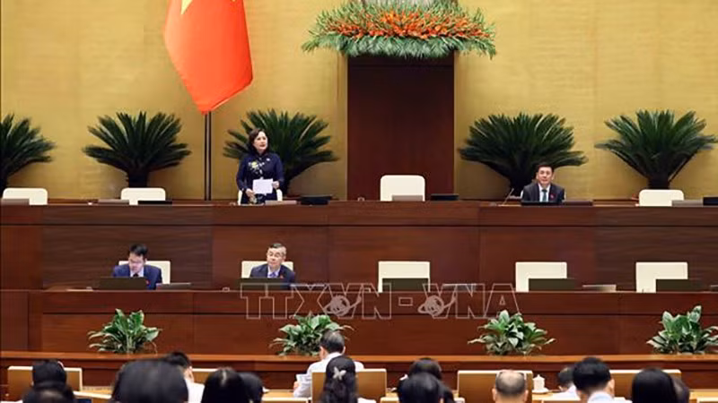 Зампредседателя НС Нгуен Тхи Хонг руководит заседание. Фото: ВИА