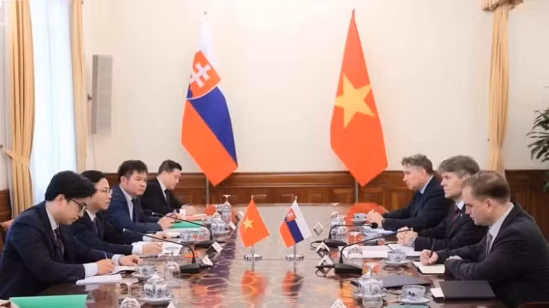 Замглавы МИД Вьетнама Нго Ле Ван и Государственный секретарь МИД Словакии Марек Эшток сопредседательствовали на политических консультациях на уровне заместителей министров иностранных дел Вьетнама и Словакии. Фото: ВИА