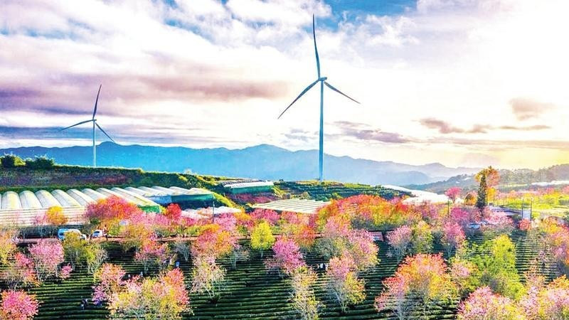 Проект ветроэнергетики в районе «цветочного Ламдонга» – один из трех «ядерных» регионов провинции.