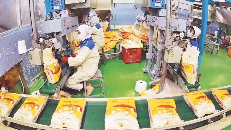 Упаковка экспортного риса в АО «Локчой». Фото: ВИА