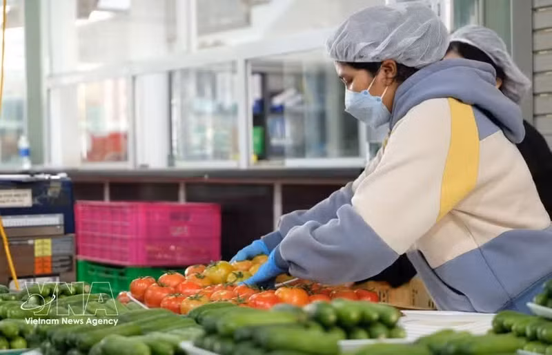 Овощи и фрукты остаются одними из ключевых экспортных товаров провинции Ламдонг, приносящих валютную выручку. В первом квартале 2026 года экспортный оборот этой продукции оценивается в 30,42 млн долларов США. Фото: ВИА