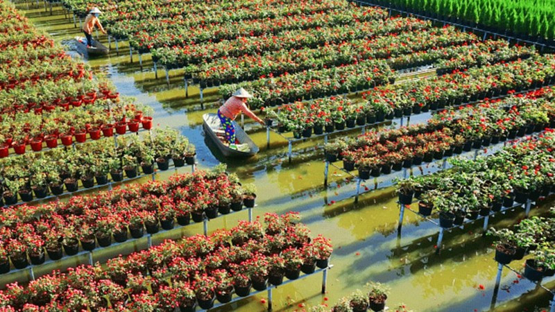 По предложению местных органов власти проект ST4SD будет поддерживать работу по развитию устойчивых туристических продуктов и направлений в районах Тамнонг и Шадек провинции Донгтхап. Фото: Департамент культуры, спорта и туризма провинции Донгтхап