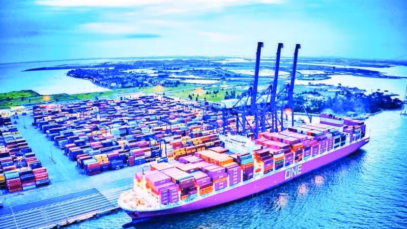 Система морских портов города модернизируется в соответствии с международными стандартами. Фото: Дык Нгиа