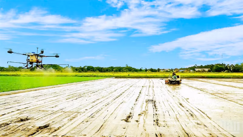 Фермеры города Кантхо внедряют высокие технологии в сельскохозяйственное производство.
