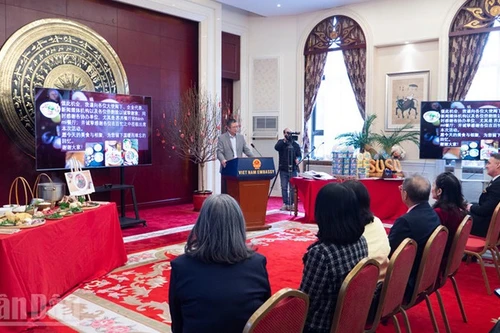 Посол Фам Тхань Бинь выступает на мероприятии.