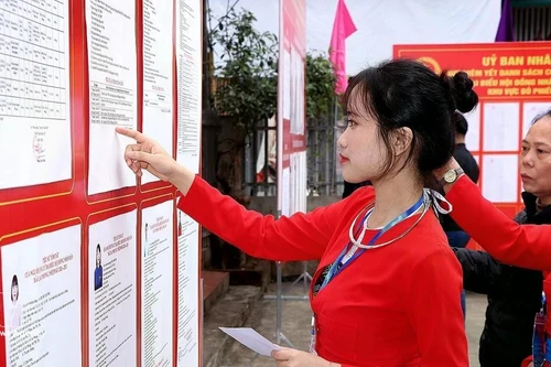 Избирательница народности Мыонг, впервые участвующая в выборах, внимательно изучает биографию кандидатов. Фото: ВИА
