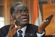 Премьер-министр Кот-д'Ивуара Роберт Беугре Мамбе. Фото: ВИА