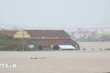Многие районы в Даклаке глубоко затоплены паводковыми водами. Фото: ВИА