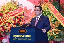 Премьер-министр Фам Минь Тьинь выступает с речью на конференции. Фото: Чан Хай