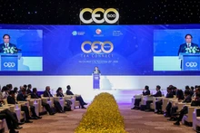 Премьер-министр Фам Минь Тьинь выступает на программе. Фото: VGP