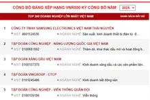 Публикация рейтинга VNR500 за 2025 год. Фото с экрана