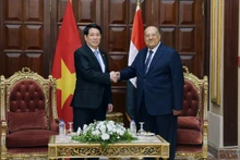 Президент Вьетнама Лыонг Кыонг встречается с Председателем Сената Египта Абдель Вахабом Абдель Разеком. Фото: ВИА