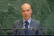 Посланник Нгуен Хоанг Нгуен выступает на заседании. Фото: ВИА