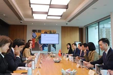 Общий вид рабочей встречи. Фото: ВИА