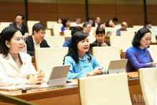 Депутаты НС на дискуссии в зале 29 октября. Фото: Зюи Линь