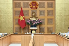 Премьер-министр Фам Минь Тьинь председательствует на экстренном заседании.