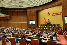 Общий вид открытия 10-й сессии НС XV созыва. Фото: Зюи Линь