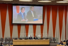 Посол До Хунг Вьет председательствует на заседании. Фото: ВИА