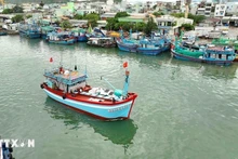 В провинциях дельты Меконга усиливается межпровинциальное взаимодействие и обмен информацией о судах, входящих в группу повышенного риска нарушений правил рыболовства. Иллюстрация. Фото: ВИА