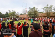 Мероприятие «Весенние краски по всей стране» привлекает большое число участников. Фото: ВИА