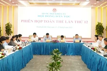 Задачи и полномочия Cовета по делам народностей Национального собрания