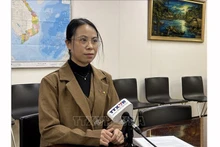 Г-жа До Тхи Минь Фыонг, Генеральный секретарь Союза обществ вьетнамцев в Японии. Фото: ВИА