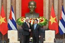Президент Лыонг Кыонг и Первый секретарь ЦК КПК, Президент Кубы Мигель Диас-Канель Бермудес. Фото: Тхюи Нгуен