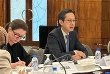 Посол До Хунг Вьет председательствует на консультациях. Фото: ВИА