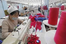 Компания SCAVI Хюэ (со 100% капиталом группы Financière B’Lao, Франция), специализирующаяся на производстве швейной продукции в промышленной зоне Фонгдьен (Хюэ). Фото: ВИА