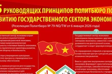 [Инфографика] 5 руководящих принципов Политбюро по развитию государственного сектора экономики