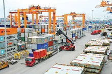 В 2025 году восемь товарных позиций с экспортной выручкой свыше 10 млрд. долл. США