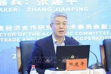 Г-н Чжан Цзяньпин, Заместитель председателя Академического комитета Академии международной торговли и экономического сотрудничества Министерства коммерции Китая. Фото: ВИА