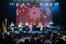 Художественный номер в исполнении вьетнамских артистов. Фото: ВИА