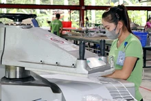 Рабочие на предприятии Maxport Limited Vietnam — филиал Намдинь (провинция Ниньбинь). Фото: ВИА