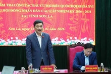 Заместитель Председателя Национального собрания Ву Хонг Тхань выступает с руководящими указаниями на рабочей встрече. Фото: ВИА