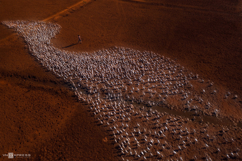 Красота ремесленных деревень по Вьетнаму ảnh 4