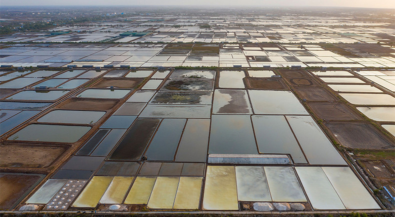 Сезон добычи соли на соляном поле уезда Донгхай в провинции Бакльеу ảnh 2 Сезон добычи соли на соляном поле уезда Донгхай в провинции Бакльеу ảnh 2