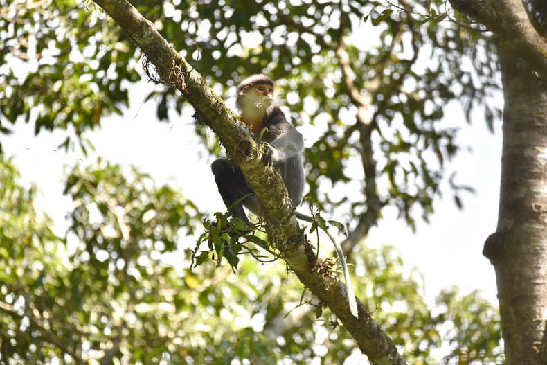 Нуйтюа и Конханынг – Всемирные биосферные заповедники ảnh 6 Нуйтюа и Конханынг – Всемирные биосферные заповедники ảnh 6
