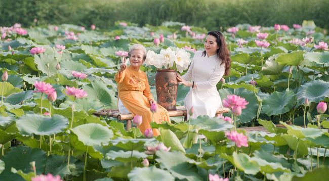Сезон лотоса в Ханое ảnh 9 Сезон лотоса в Ханое ảnh 9
