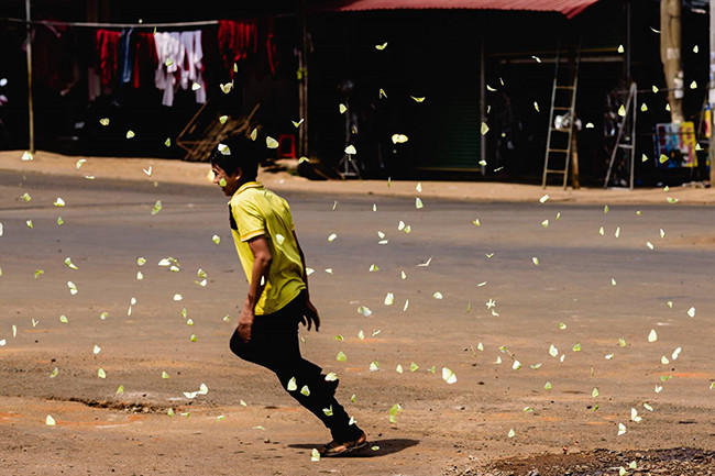 Сезон бабочек на плато Тэйнгуен ảnh 9 Сезон бабочек на плато Тэйнгуен ảnh 9