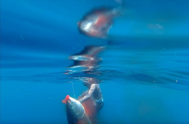 Фотографии дикой природы ảnh 14 Фотографии дикой природы ảnh 14