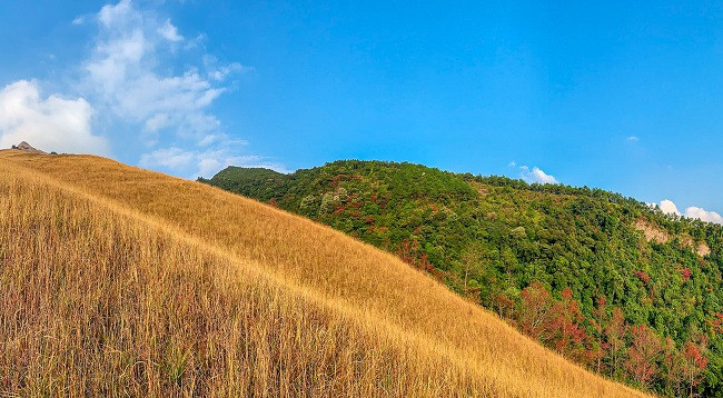 Открываем для себя красоту горы Тя ảnh 4