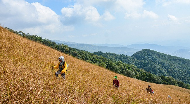 Открываем для себя красоту горы Тя ảnh 6